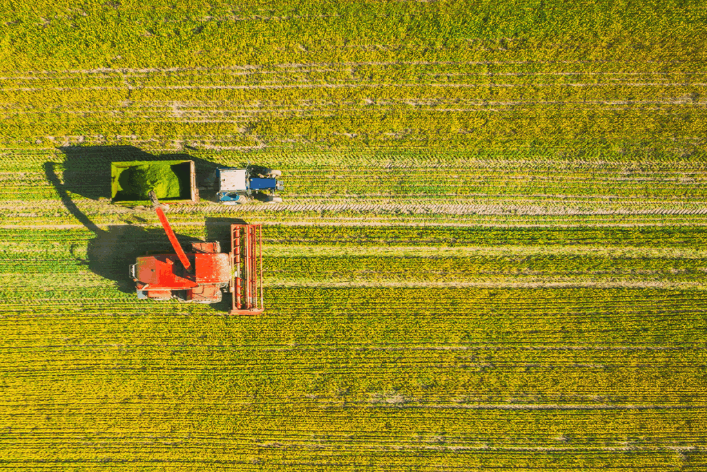 Time de marketing agronegócio: estratégia, ferramentas e resultados
