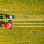 Time de marketing agronegócio: estratégia, ferramentas e resultados