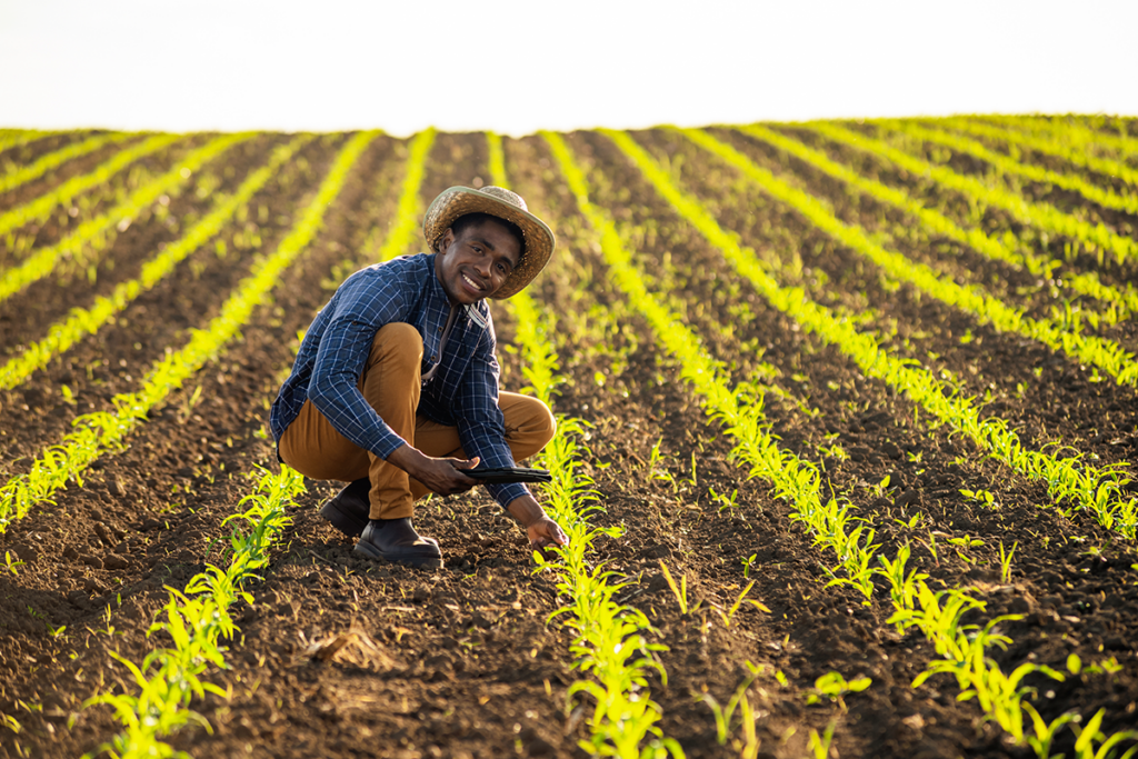 Do campo à gestão: como o método transforma operações e decisões no agro?