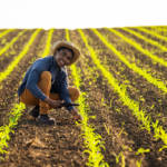 Do campo à gestão: como o método transforma operações e decisões no agro?